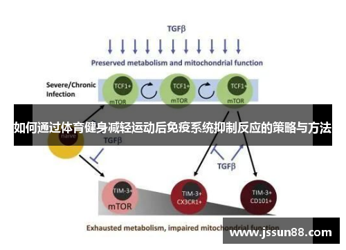 如何通过体育健身减轻运动后免疫系统抑制反应的策略与方法