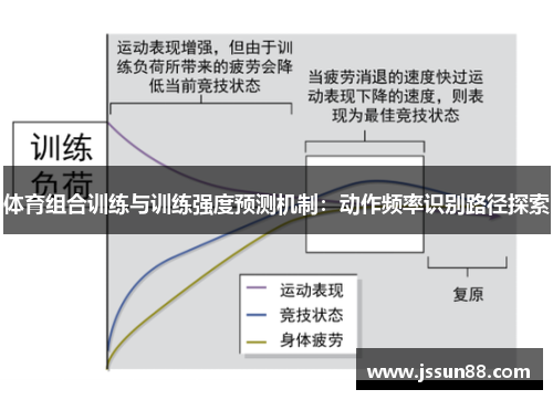 体育组合训练与训练强度预测机制：动作频率识别路径探索